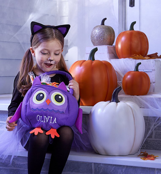 Safe And Smart Reflective Halloween Treat Bag